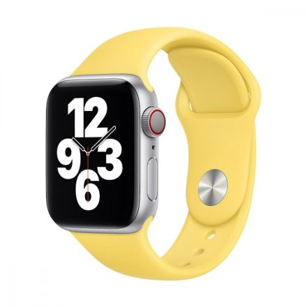 Apple Watch 40mm Band: Ginger Sport Band - Regular