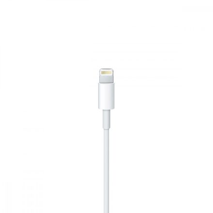 USB-C to Lightning Cable (1 m)