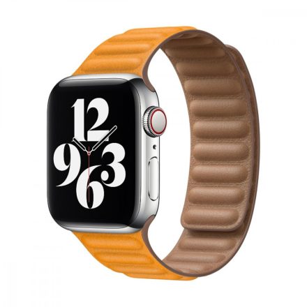 Apple Watch 40mm Band: California Poppy Leather Link - Large