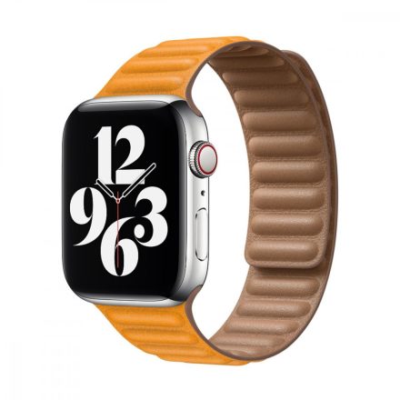 Apple Watch 44mm Band: California Poppy Leather Link - Small