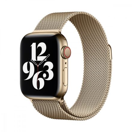Apple Watch 40mm Band: Gold Milanese Loop