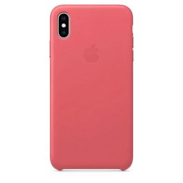 iPhone X / XS
